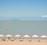 海滨雄鲨队火力全开齐鲁山猫队，游泳预选赛上演耐力碾压对手！赛季拐点或已出现的简单介绍