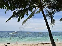 海滨雄鲨队火力全开齐鲁山猫队，游泳预选赛上演耐力碾压对手！赛季拐点或已出现的简单介绍