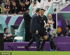 板球夜战：海滨银狐队强势反弹南城猎隼队，主帅临场妙招传控打穿防线的简单介绍